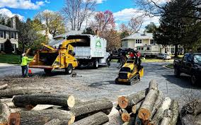 Best Hazardous Tree Removal  in Apex, NC